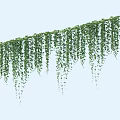 Green Hanging Vines as Natural Decorative Elements Against Light Blue Background 3d model