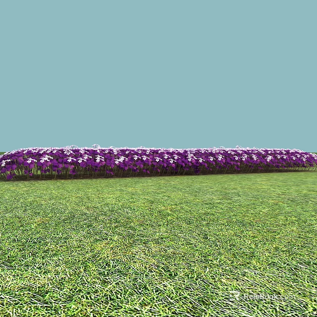Vibrant Purple and White Flowers in a Row on Green Grass with Light Blue Background 3d model 