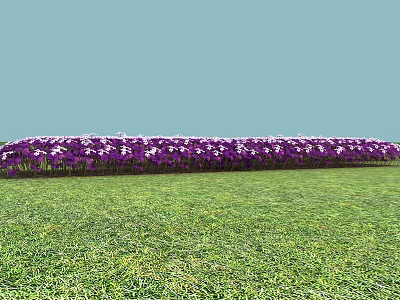 Vibrant Purple and White Flowers in a Row on Green Grass with Light Blue Background 3d model