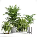 Various Green Potted Plants In Different Stylish Pots For Indoor Decor
