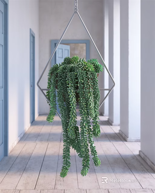 Trailing Green Succulent Hanging Potted Plant In Geometric Metal Frame For Indoor Decor 3d model 