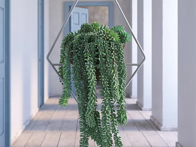 Trailing Green Succulent Hanging Potted Plant In Geometric Metal Frame For Indoor Decor 3d model