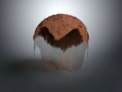 Detailed Anatomical Organ Structure With Brown Hair And Transparent Lower Section 3d model