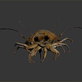 Modern sea cockroach cockroach skin shrimp beetle 3d model