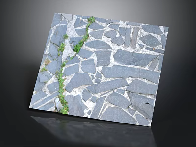 Natural Gray Irregular Stone Slab Pavement With Green Moss Growth 3d model