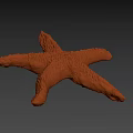 Orange Textured Starfish With Detailed Surface And Marine Life Features