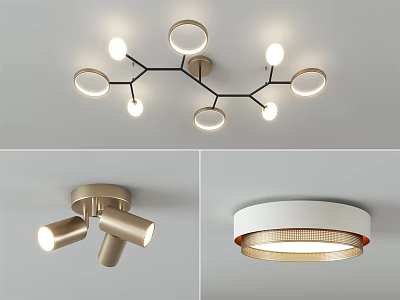Modern Ceiling Lights with Branch Like Design Golden Fixtures and Circular Shades 3d model