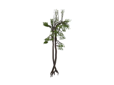 Trees Trees Street Trees Landscape Trees Plants 3d model Trees Trees Street Trees Landscape Trees Plants 3d model