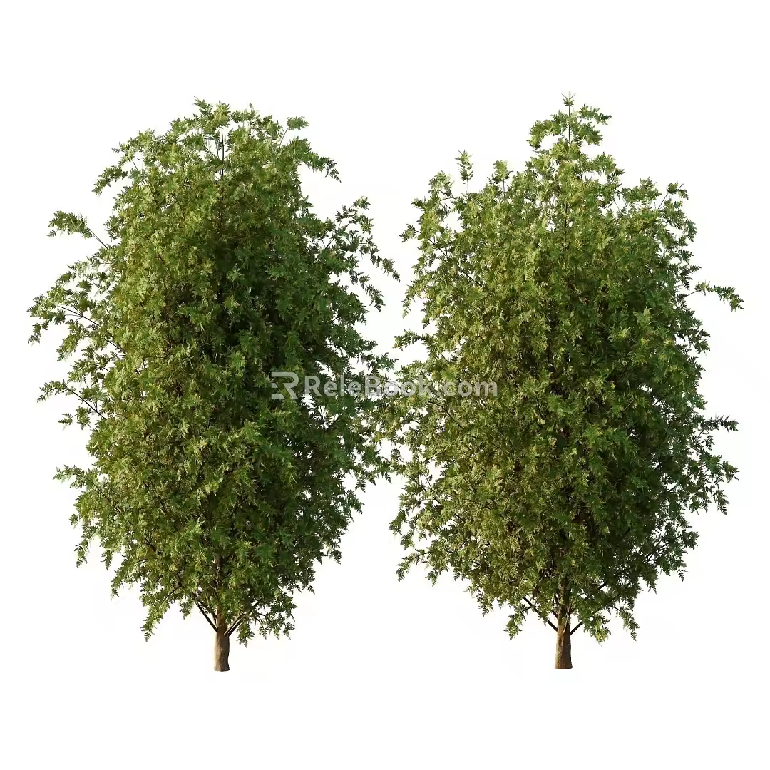 landscape tree 3d model