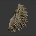 Biological Organ Structure With Hair Like Spines And Textured Surface
