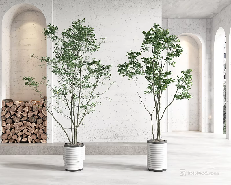 Green Potted Plants In White Cylindrical Pots With White Wall Arched Windows And Wood Logs 3d model 