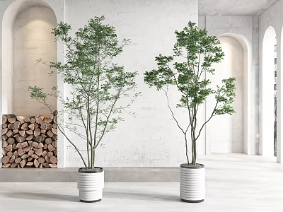 Green Potted Plants In White Cylindrical Pots With White Wall Arched Windows And Wood Logs 3d model