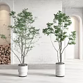 Green Potted Plants In White Cylindrical Pots With White Wall Arched Windows And Wood Logs