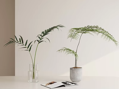Bonsai Potted Plants in Clear Glass Vase and White Ceramic Pot on Table with Magazine 3d model