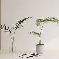 Bonsai Potted Plants in Clear Glass Vase and White Ceramic Pot on Table with Magazine