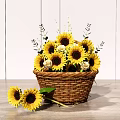 Beautiful Sunflowers and Roses Arrangement in Wicker Basket on Wooden Tabletop with White Wooden Wall