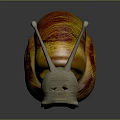 Colorful Snail With Orange And Red Striped Shell And Gray Body On Shiny Surface
