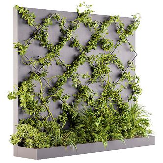 Modern Plant Wall 3d model