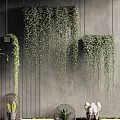 Indoor Hanging Basket Plants With Trailing Greenery Decorating Grey Textured Wall