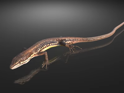 Brown and Yellow Reptile Lizard with Long Tail on Smooth Surface Showing Reflection 3d model