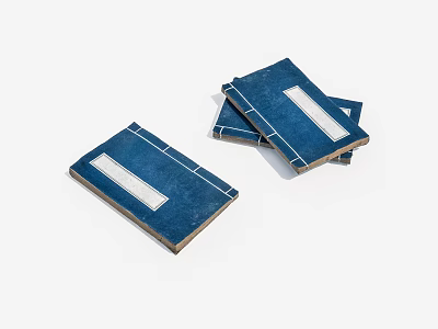 Blue Cover Books Featuring White Rectangular Labels Stacked And A Single One Placed 3d model