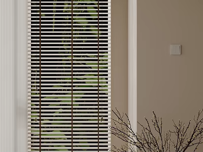 Walk In Closet With Blinds And Plant Decor 3d model