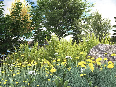 Green Shrubs With Yellow Flowers In Garden Landscape Surrounded By Trees And Rocks 3d model