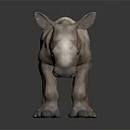 Baby Rhinoceros in Light Brown Color Standing on Black Background with Reflection