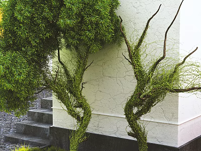 Lush Green Climbing Plants With Winding Branches On White Wall Near Stone Steps 3d model