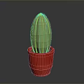 Green Cactus with Yellow Spines in Red Pot on Gray Background