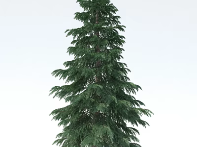 Tall Arbor With Lush Green Foliage In Natural Outdoor Garden Setting 3d model
