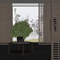 Stylish Bonsai Plant Arrangement In Modern Indoor Space With Decorative Stand