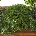 Lush Green Tree Planter Featuring Tall Tree And Lush Bushes In Wooden Base