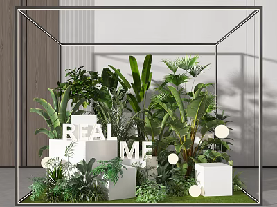 Stylish Garden Decor Display in Glass Cube with Green Plants White Cubes and Round Lights 3d model