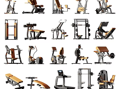 Diverse Sports Equipment for Home Gym Fitness Training Including Treadmill Dumbbell Rack and Exercise Bench 3d model