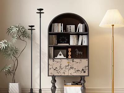 Dark Arch Top Bookcase With Books Decorative Items Floor Lamp And Green Plant Around 3d model