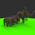 Wild Animal Models Elephant Giraffe Bear Rhino on Green Surface with Black Background