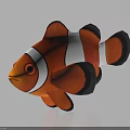 Vibrant Orange White Black Clownfish Detailed 3D Model With Cute Appearance 3d model