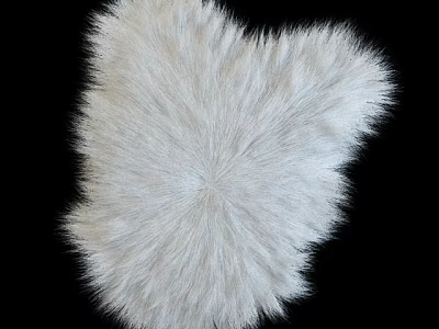 Styling carpet 3d model