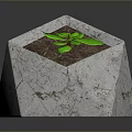 Small Green Plant In Hexagonal White Marble Textured Planter With Soil
