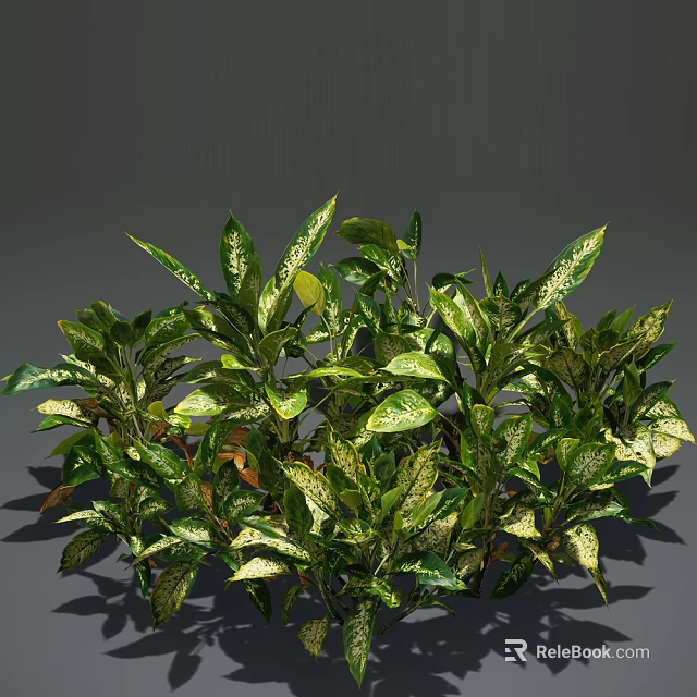 Lush Indoor Green Plants With White Spotted Leaves And Dense Foliage 3d model 