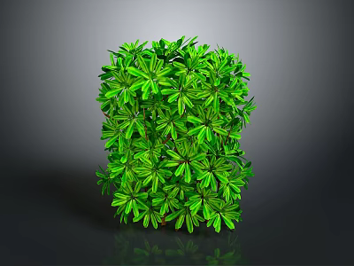 Green Leafy Plant With Lush Foliage In Cube Shape On Gray Background 3d model