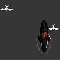 Pirate in Red Hat and Orange Outfit Riding Orca with Seagulls Flying and Water Splashes