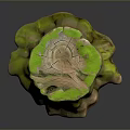 Wooden Stump With Natural Texture And Green Moss Covered Decorative Surface