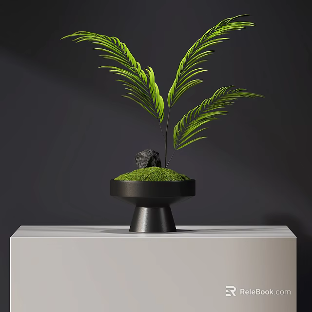 Lush Green Moss in Black Pot with Fern Plants on White Stand Against Dark Background 3d model 