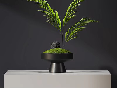 Lush Green Moss in Black Pot with Fern Plants on White Stand Against Dark Background 3d model