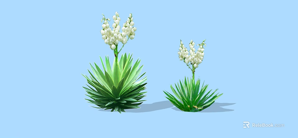 Two Green Shrubs With White Flowers And Different Sizes On Light Blue Background 3d model 