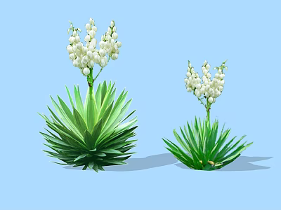 Two Green Shrubs With White Flowers And Different Sizes On Light Blue Background 3d model