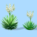 Two Green Shrubs With White Flowers And Different Sizes On Light Blue Background