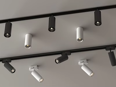 Modern Minimalist Track Mounted Downlights And Spotlights Black White Ceiling Lighting Design 3d model